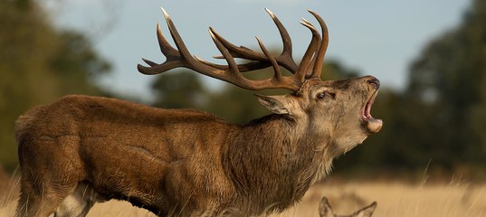 Помогите нам отстоять заповедники