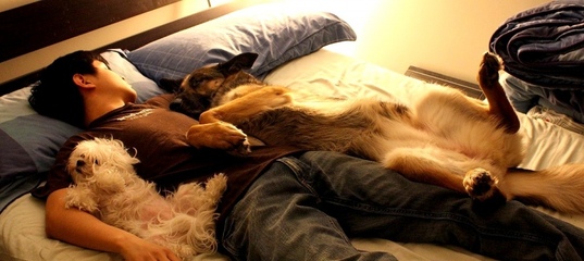 Спасатели разбудили 25-летнего жителя Советского района