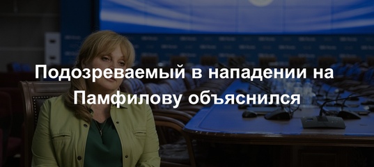 Подозреваемый в нападении на Памфилову объяснился