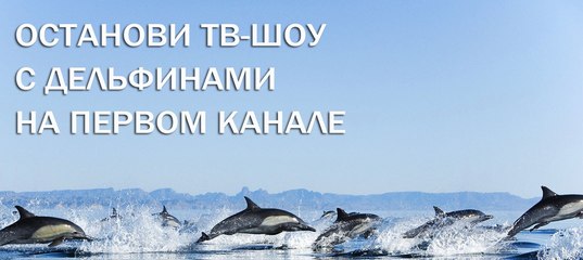 @channelone_rus, остановите ТВ-шоу "Вместе с Дельфинами"