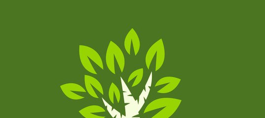 Берегите лес в App Store