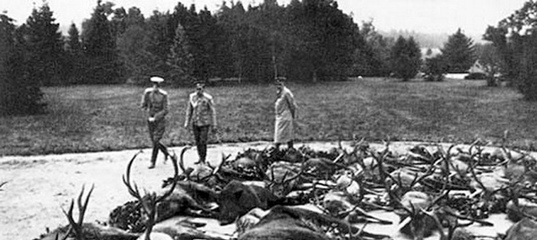 Охота Николая II — Википедия